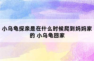 小乌龟探亲是在什么时候爬到妈妈家的 小乌龟回家